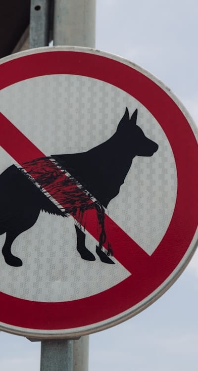 Tangible object: Seed packets