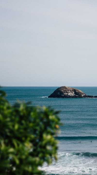 Tangible object: Seedlings