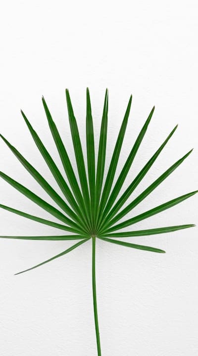 Efficient irrigation methods help conserve water in organic gardening.