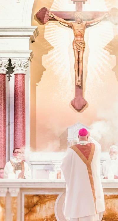 In addition to these visual cues, pay attention to the size of the squash. Different varieties will have different optimal sizes for harvest. Generally, you want the squash to be fully grown, but not too oversized. For example, a ripe acorn squash is typically about 4 to 6 inches in diameter, while a ripe spaghetti squash is usually around 8 to 12 inches long.