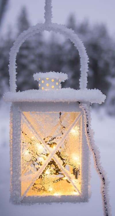 Tangible Object: Seeds