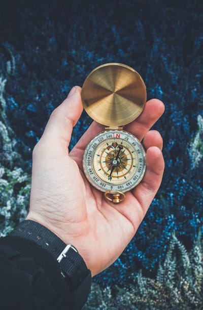 The alt text for the image could be Squash seedlings growing in fertile soil.