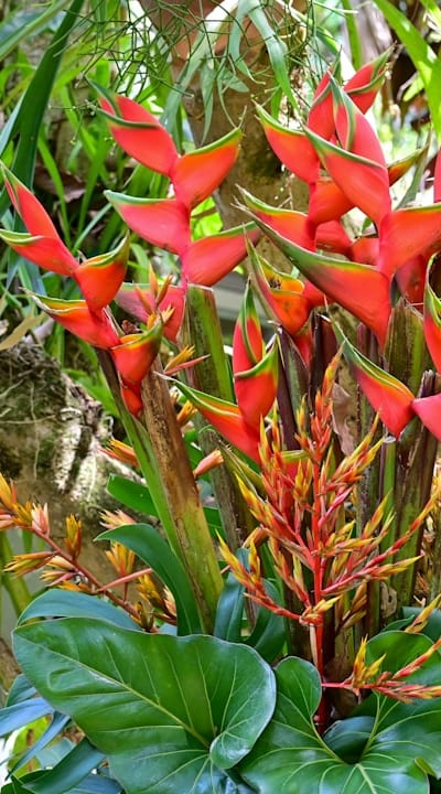 Tangible object: Soil