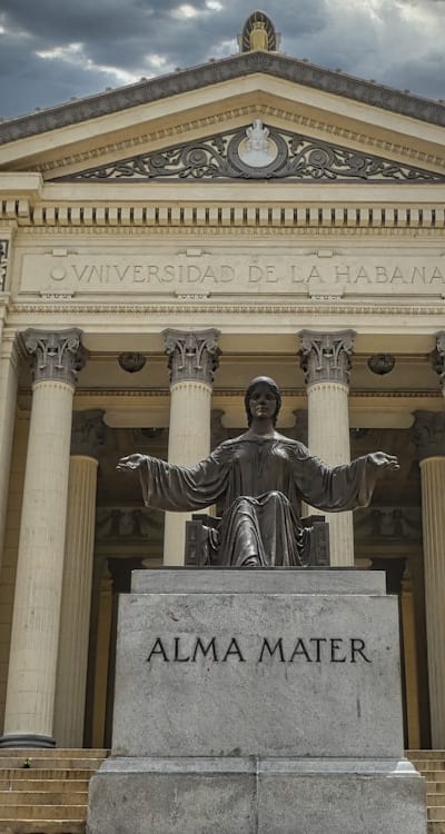 In this article, the tangible object referenced is seed trays or peat pots. These items are used for starting seeds indoors and provide a controlled environment for germination.
