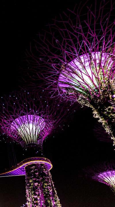 alt text: Fragrant flowers blooming in sunlight