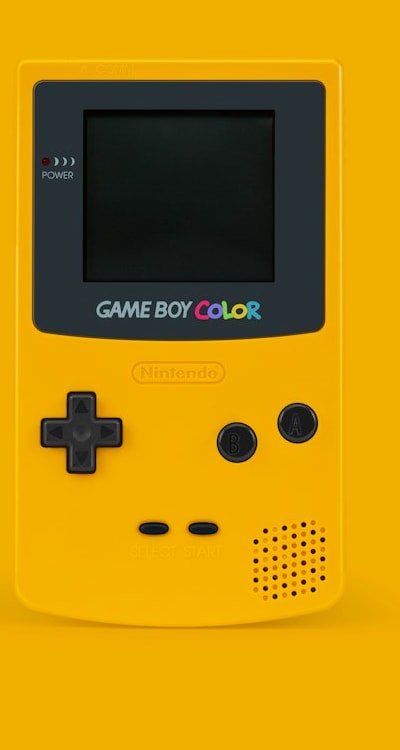 plant, fruit, flower or vegetable: Corn