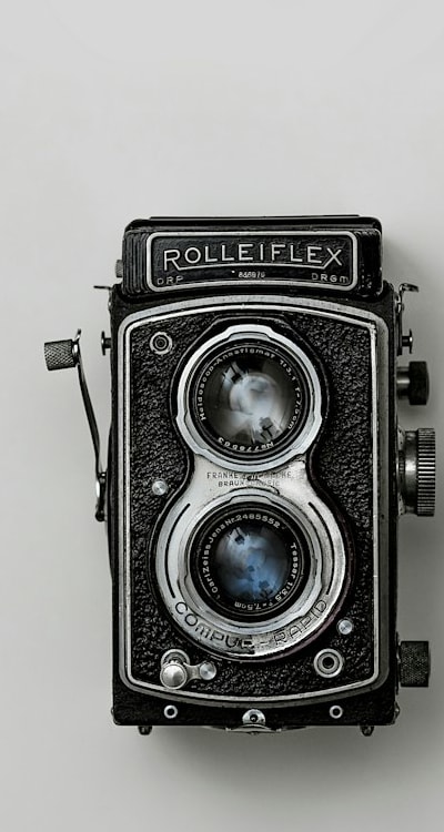 plant, fruit, flower or vegetable: perennial flowers