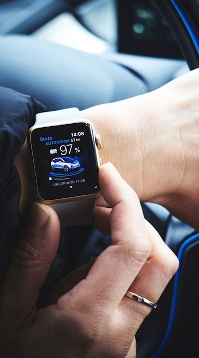 Tangible object: Seeds