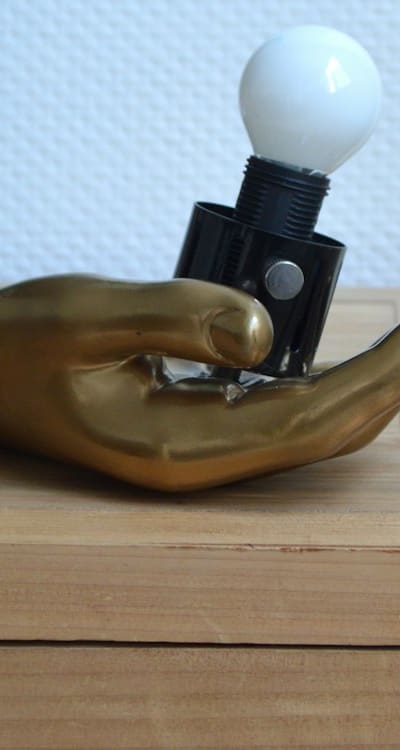 zinnia seeds, tall varieties, dwarf varieties