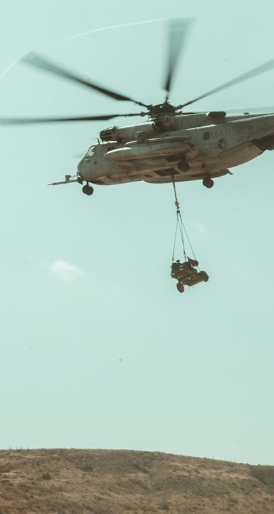 Tag: Bell pepper plants, Straw or wood chips