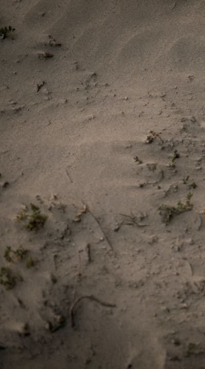 Tangible object: Soil
