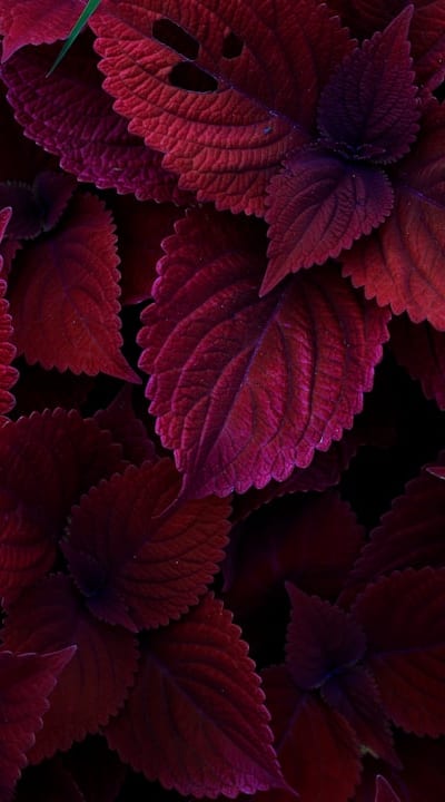 Tangible object: Glass jars