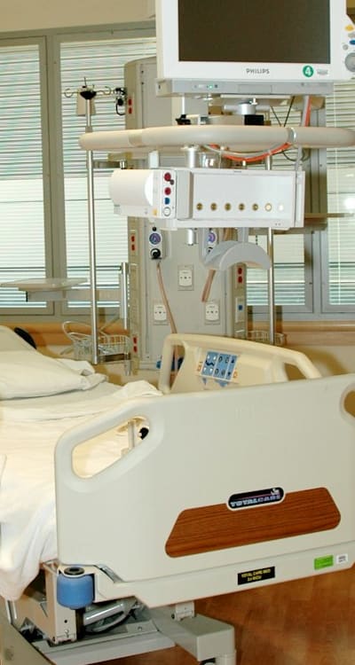 Tangible object referenced in the article: Seedlings