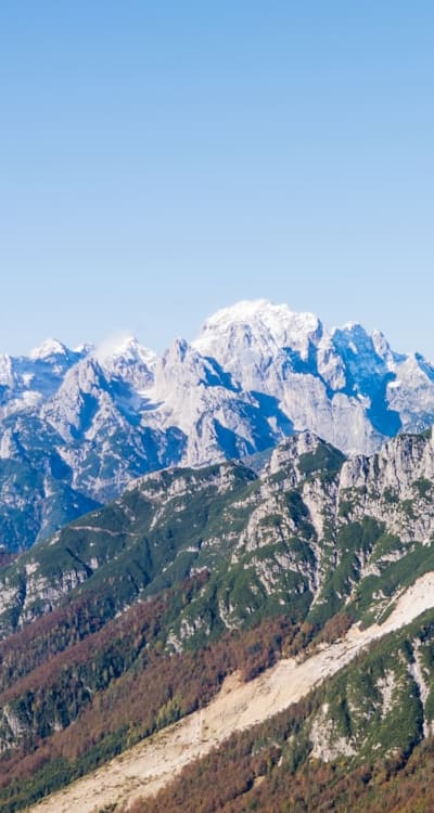 Pea Seeds, Soil Preparation