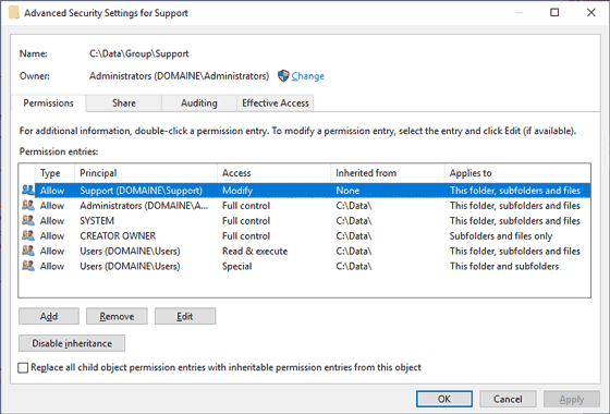 Microsoft Explorer's Advanced Security Settings