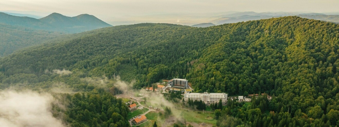 slide image 1