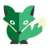 Green Fox Academy