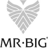 Mr. BIG