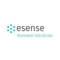 eSense