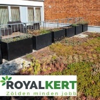 DIADEM® A.P.P. Kft. - Ügyfeleink