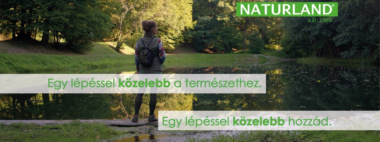 slide image 1