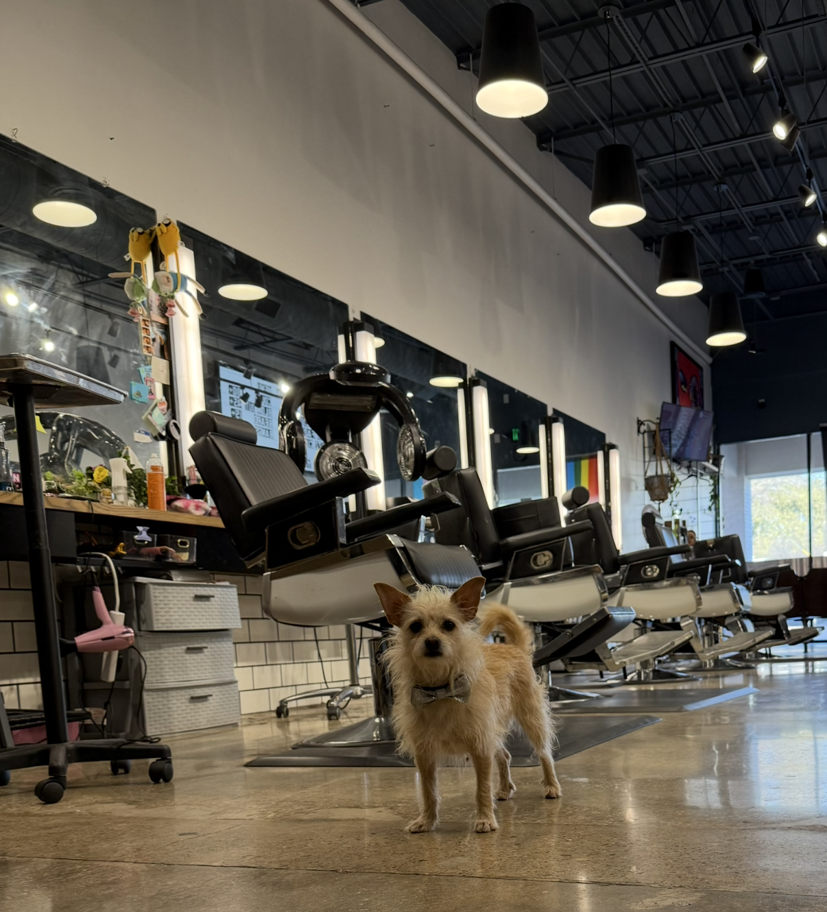 men's barbershop South Congress Austin Texas - Cuts By Lulu