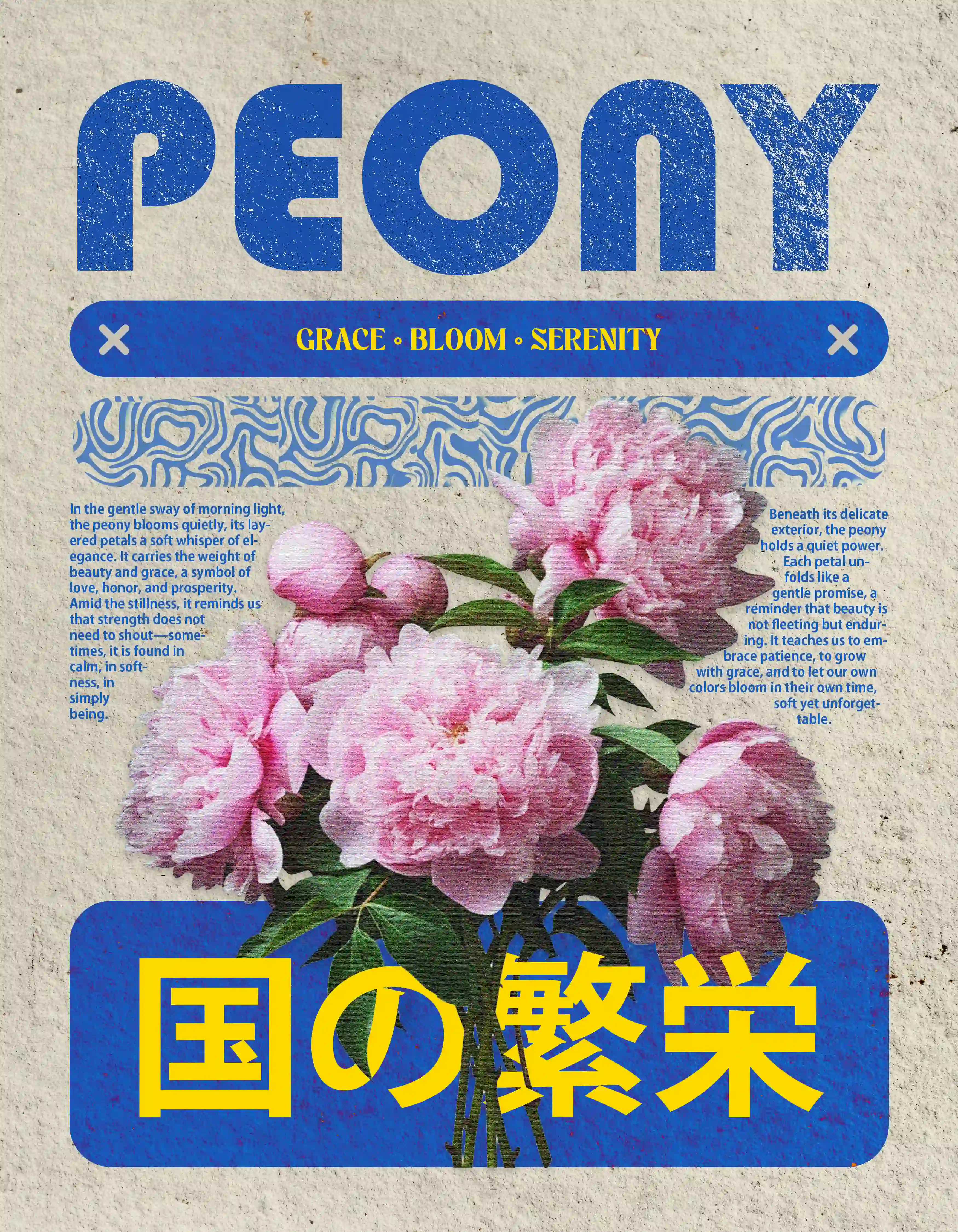 Peony - Poster Design
