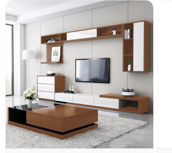 Meuble T V - 19