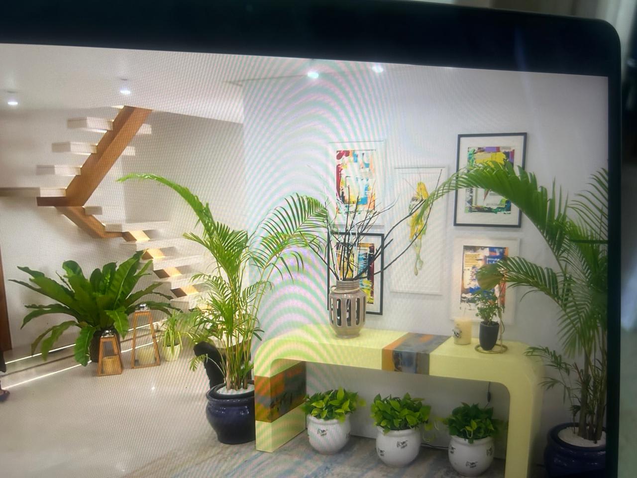 Entryway plant styling design