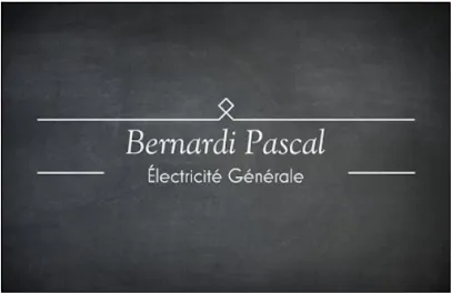 logo de l'artisan Bernardi pascal