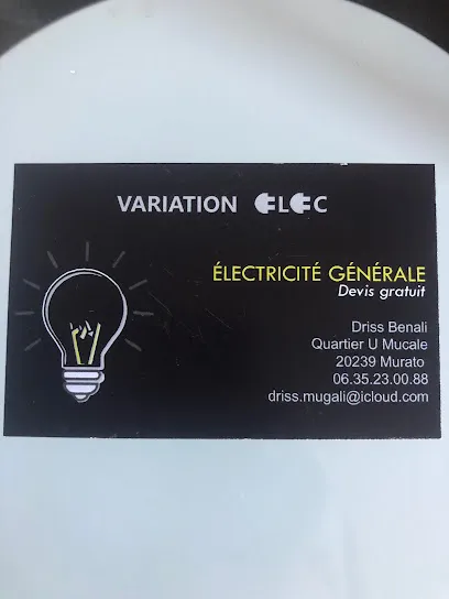 logo de l'artisan Variation ELEC