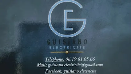 logo de l'artisan Guisiano Électricité