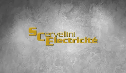 logo de l'artisan Cervellini Stephane Electricite