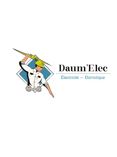 logo de l'artisan Daum'Elec