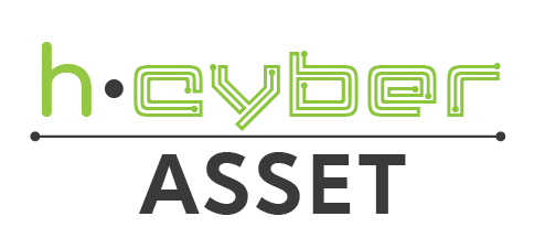 0.h-Cyber Asset.png
