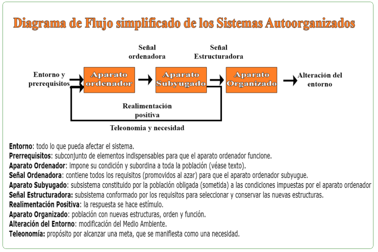 Sistemas autoorganizados imagen