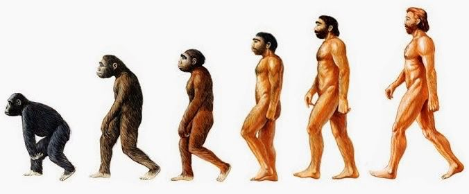 Imagen Evolución