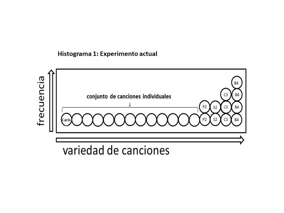 Imagen Histogramas