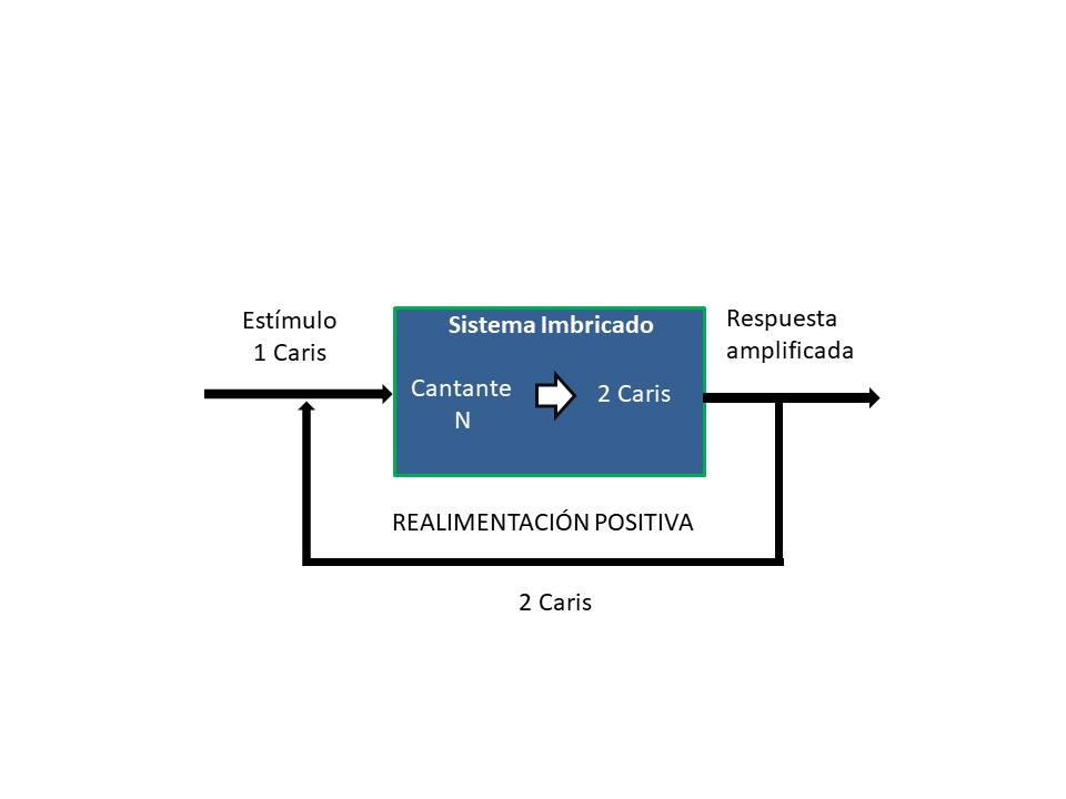 Imagen Diagrama 3