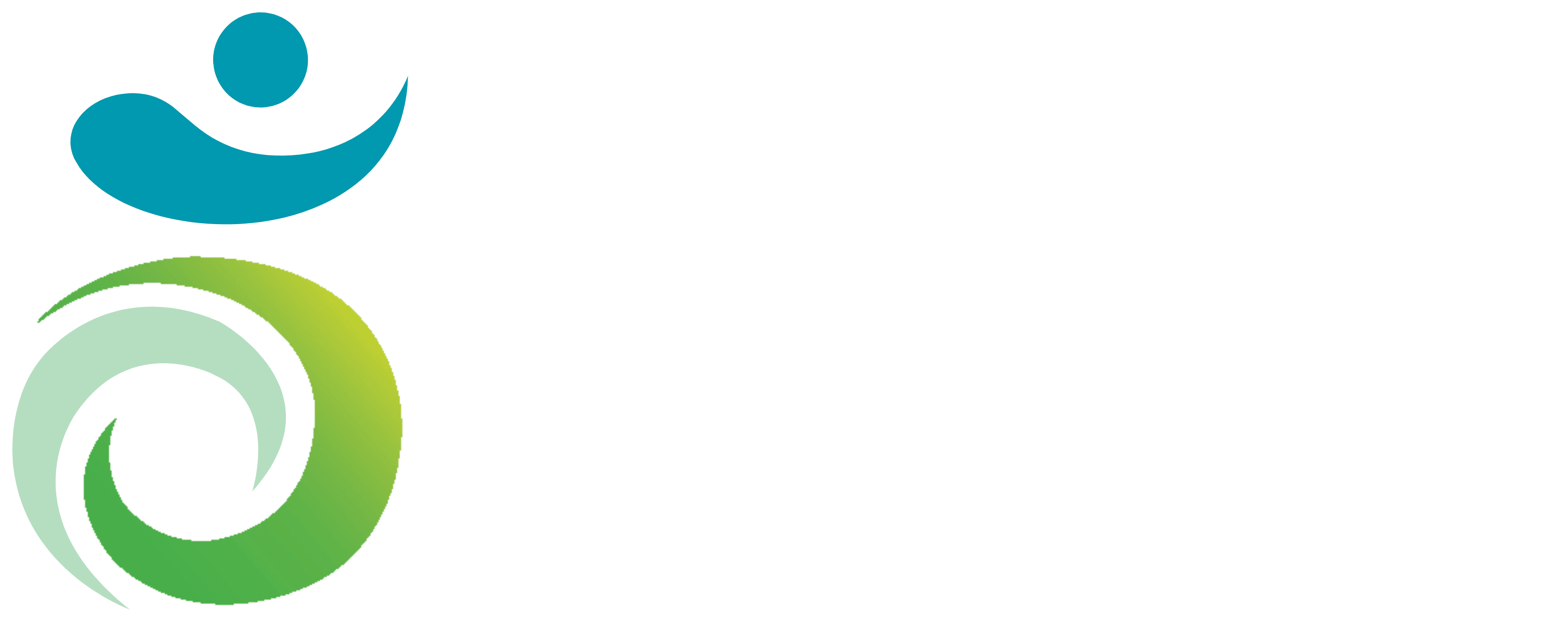 Irish Wheelchair Association