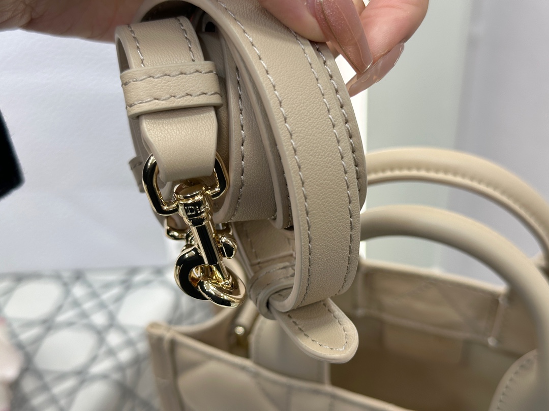 디올 디올 미니 스트랩 북 토트백 매크로까나쥬 베이지 21.5 x 13 x 7.5 cm 상세 이미지 14