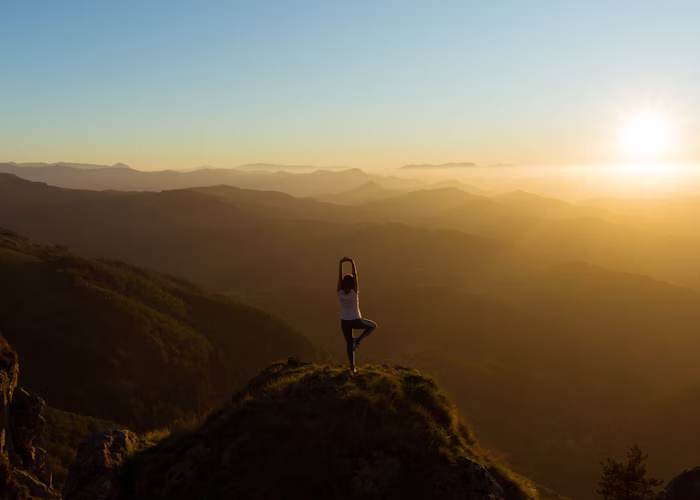 Thiền Sáng & Yoga Rừng