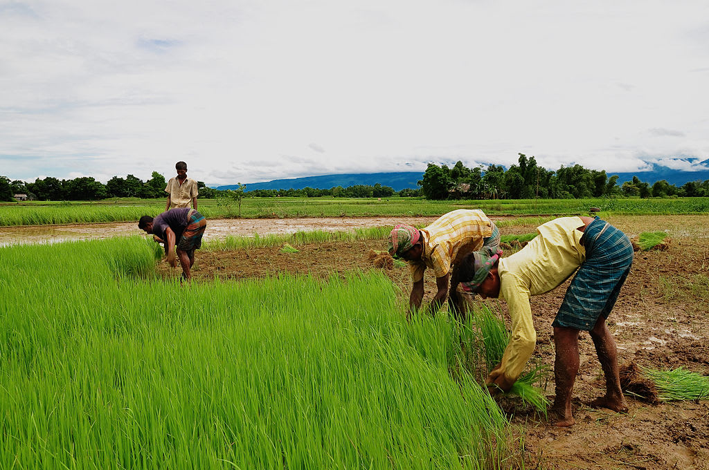 Image depicting agricultural initiatives.