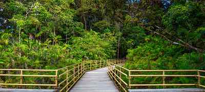 The Best Things to do in Manuel Antonio, Costa Rica