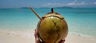 Traditional Dishes to Try in Costa Rica