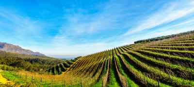 Undiscovered Wine Regions Around the World