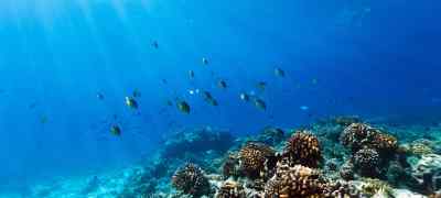 10 Things You Didn't Know About The Great Barrier Reef