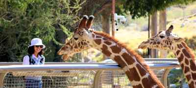 6 Cool Zoos to Visit in the United States