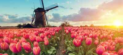 5 Places to Visit in the Netherlands Aside From Amsterdam