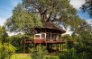 Elewana Tarangire Treetops